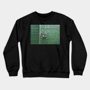 Incy Wincy Spider Crewneck Sweatshirt